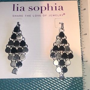 Silver/Gunmetal Dangle Earrings